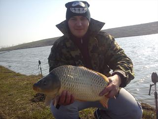 Jipa